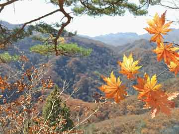 月亮大海短视频素材高清（月亮大海背景图）