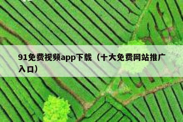 91免费视频app下载（十大免费网站推广入口）