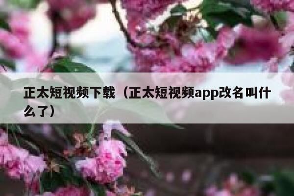 正太短视频下载（正太短视频app改名叫什么了）