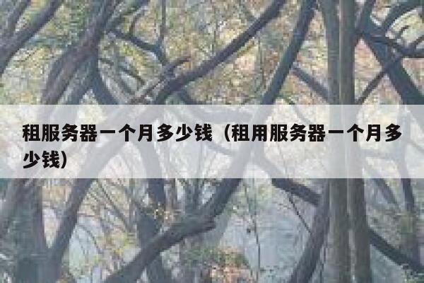 租服务器一个月多少钱（租用服务器一个月多少钱）
