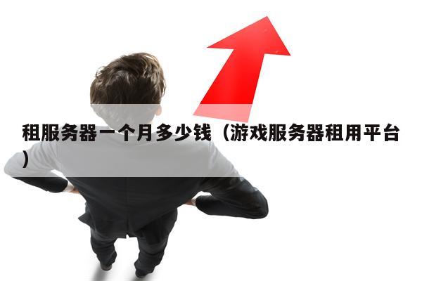 租服务器一个月多少钱（游戏服务器租用平台）