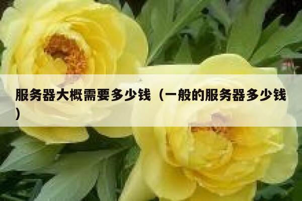 服务器大概需要多少钱（一般的服务器多少钱）