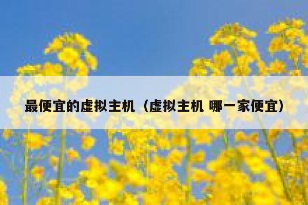 最便宜的虚拟主机（虚拟主机 哪一家便宜）