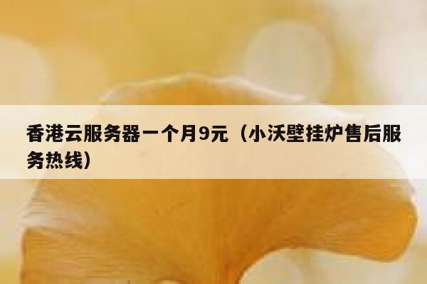 香港云服务器一个月9元（小沃壁挂炉售后服务热线）